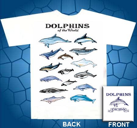 dolphins of the world t-shirt, bottle nose dolphin