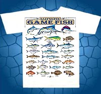 saltwater game fish