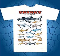 sharks of the world t-shit, hammer head shark, lemon shark, great white shark, bull shark, mako shark, basking, shark, whale shark, nurse shark, sand shark, mega mouth shark