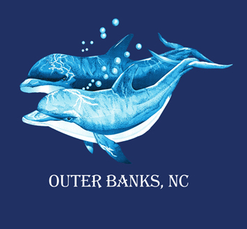two dolphins