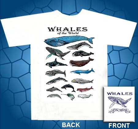 whales of the world screenprinted t-shirt, blue whale, humpback whale, killer whale, sprem whale, gray whale, right whale
