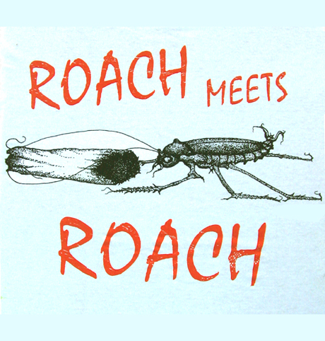 roach meets roach