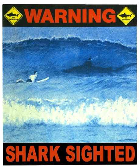 Shark Sighted